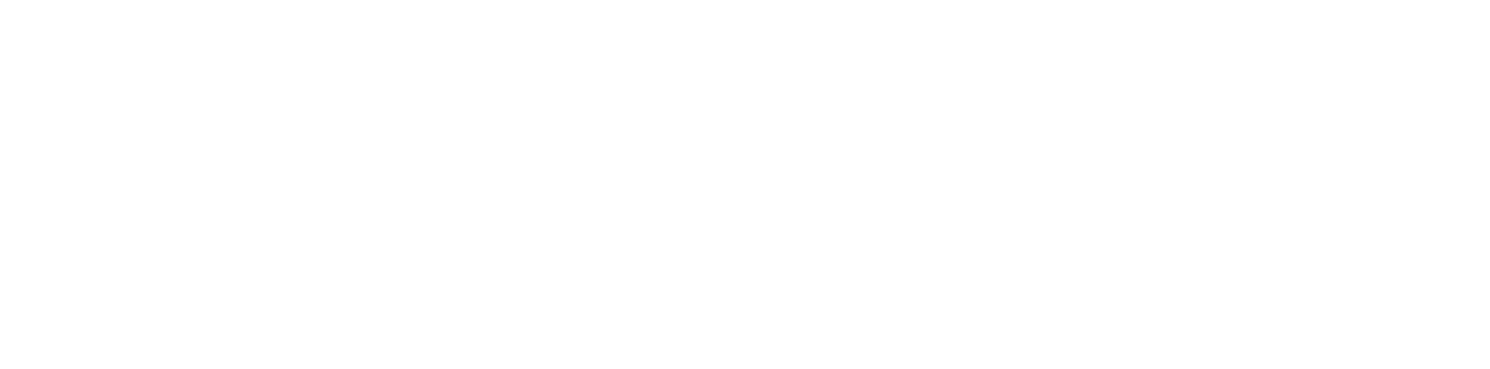 BEINMOVEMENT LOGO LONG copy